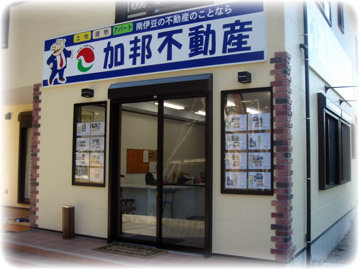 MsY2